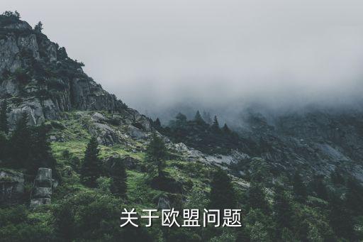 關(guān)于歐盟問(wèn)題