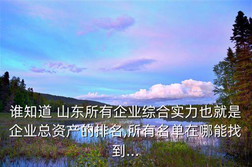 誰(shuí)知道 山東所有企業(yè)綜合實(shí)力也就是企業(yè)總資產(chǎn)的排名,所有名單在哪能找到...