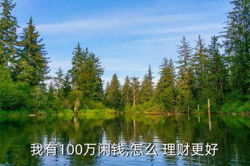 我有100萬(wàn)閑錢,怎么 理財(cái)更好