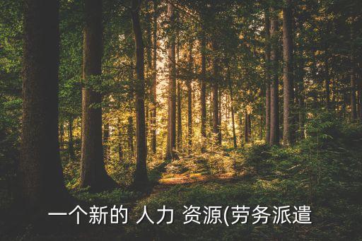 一個新的 人力 資源(勞務(wù)派遣