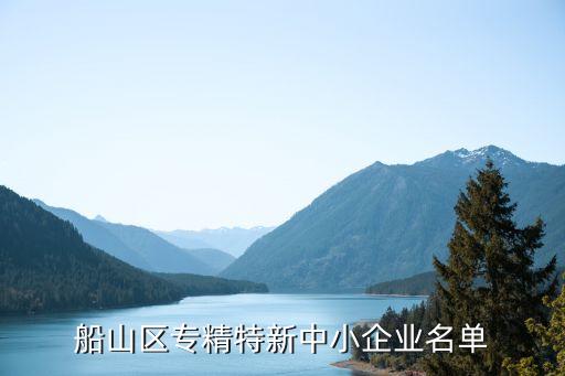 船山區(qū)專(zhuān)精特新中小企業(yè)名單