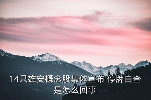 14只雄安概念股集體宣布 停牌自查是怎么回事