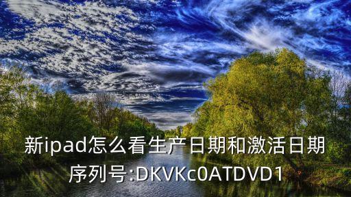 dkv中國(guó)電話