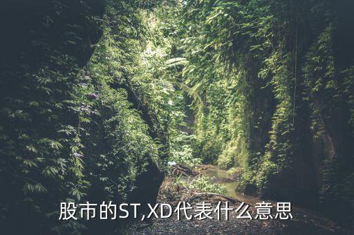 股市的ST,XD代表什么意思