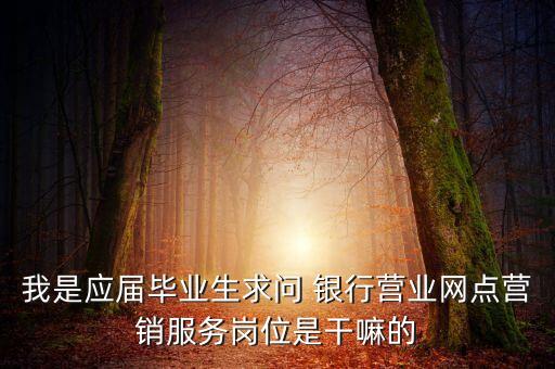 我是應(yīng)屆畢業(yè)生求問 銀行營業(yè)網(wǎng)點(diǎn)營銷服務(wù)崗位是干嘛的