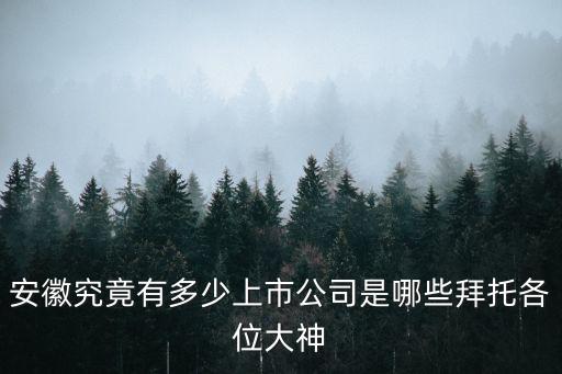 蕪湖港儲(chǔ)運(yùn)股份有限公司網(wǎng)站