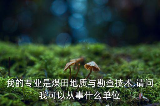 金迪地下管線探測工程有限公司,保定金迪地下管線探測工程有限公司