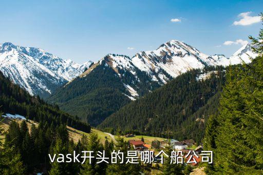 vask開(kāi)頭的是哪個(gè)船公司