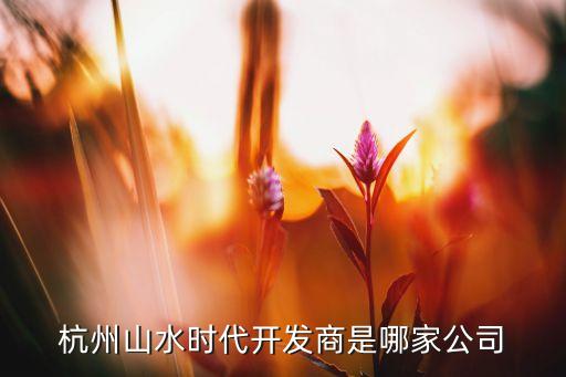 杭州山水時(shí)代開(kāi)發(fā)商是哪家公司