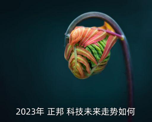 2023年 正邦 科技未來走勢(shì)如何