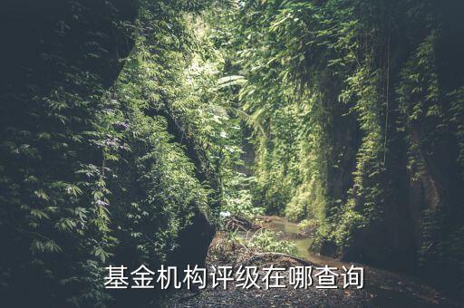 愛基金網(wǎng)040035,同花順愛基金