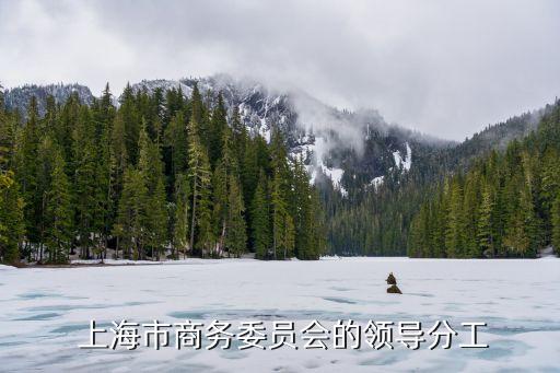 第二屆中國上海國際技術(shù)進(jìn)出口交易會