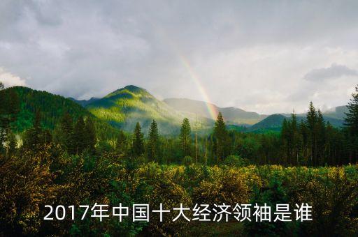 2017年中國十大經(jīng)濟領(lǐng)袖是誰