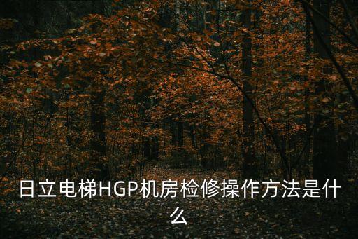 日立電梯HGP機房檢修操作方法是什么