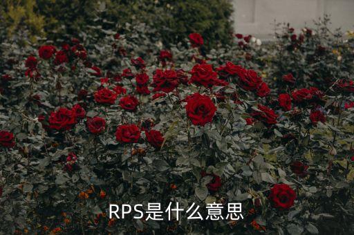 RPS是什么意思