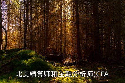 北美精算師和金融分析師(CFA