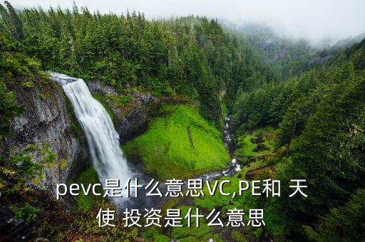 pevc是什么意思VC,PE和 天使 投資是什么意思