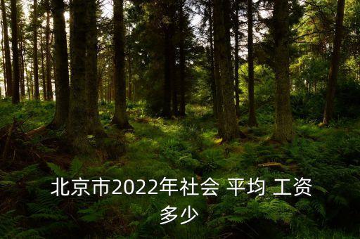  北京市2022年社會 平均 工資多少