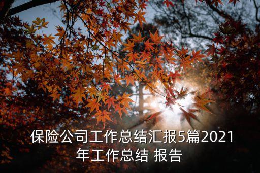 保險公司財務季度分析報告,XX公司XX年度\/季度財務分析報告