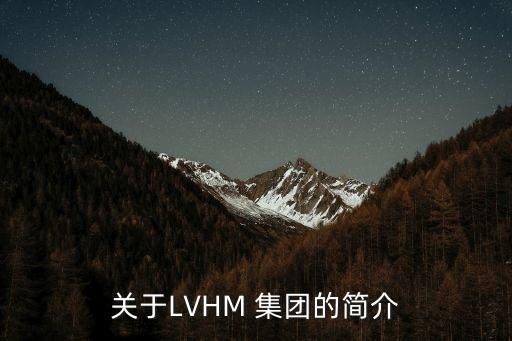 關(guān)于LVHM 集團(tuán)的簡介