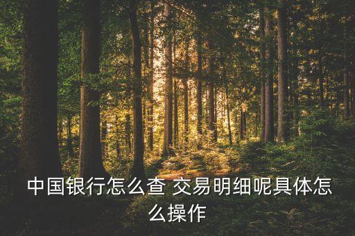  中國銀行怎么查 交易明細呢具體怎么操作