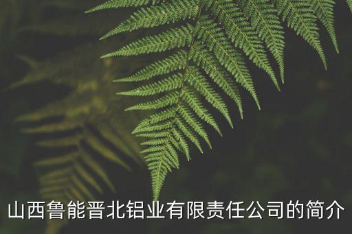 中電投重慶鼎泰氧化鋁有限公司