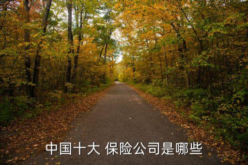 中國十大 保險(xiǎn)公司是哪些