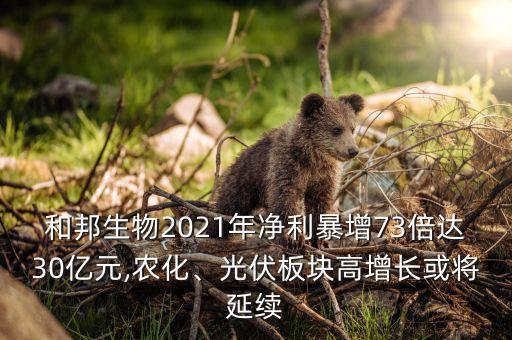 和邦生物2021年凈利暴增73倍達30億元,農(nóng)化、光伏板塊高增長或將延續(xù)