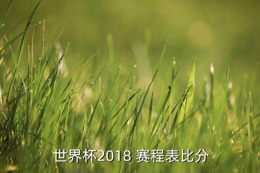 2018世界杯中國(guó)足球隊(duì)賽程,中國(guó)足球隊(duì)2022世界杯預(yù)選賽程