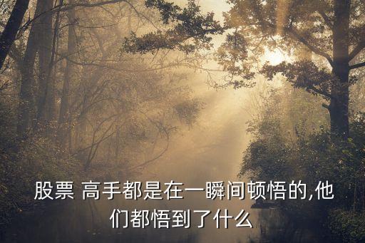  股票 高手都是在一瞬間頓悟的,他們都悟到了什么