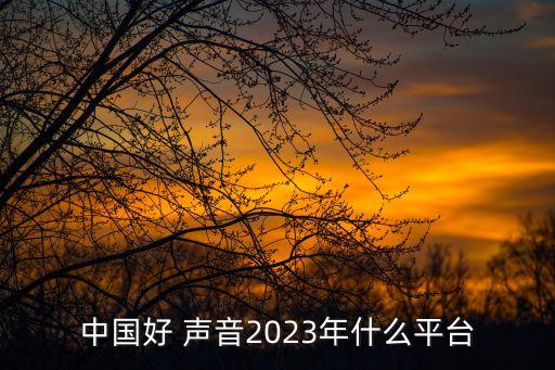 中國好 聲音2023年什么平臺