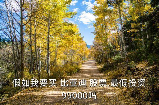 假如我要買 比亞迪 股票,最低投資99000嗎