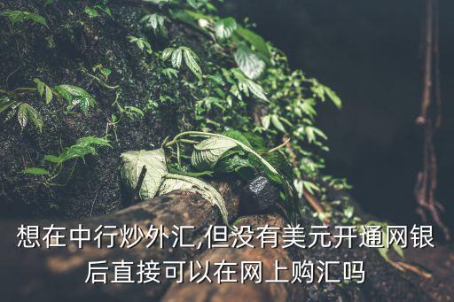 想在中行炒外匯,但沒有美元開通網銀后直接可以在網上購匯嗎