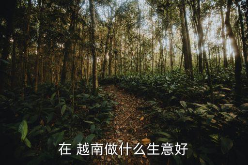 去越南可以投資的項目,李嘉誠越南投資房地產(chǎn)項目