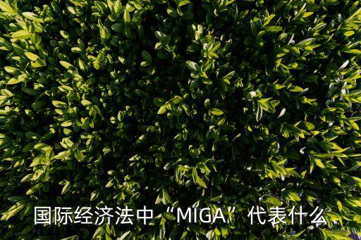 國際經(jīng)濟(jì)法中“MIGA”代表什么