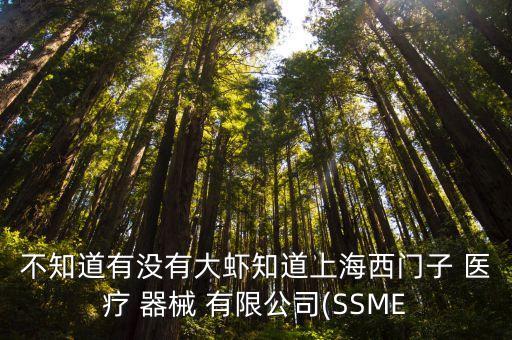 不知道有沒(méi)有大蝦知道上海西門(mén)子 醫(yī)療 器械 有限公司(SSME