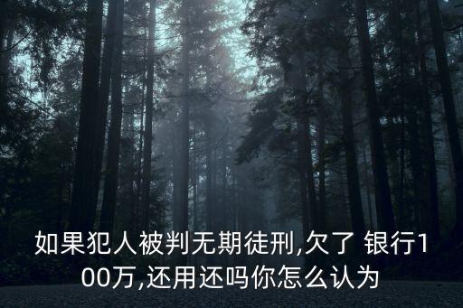 如果犯人被判無期徒刑,欠了 銀行100萬,還用還嗎你怎么認(rèn)為