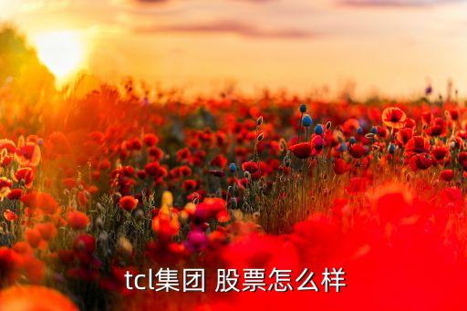  tcl集團 股票怎么樣