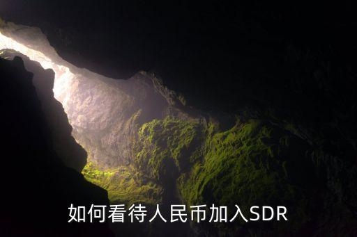 中國(guó)貨幣加入sdr,中國(guó)數(shù)字貨幣