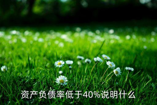 資產(chǎn)負(fù)債率低于40%說(shuō)明什么