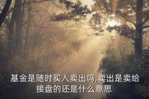 指數(shù)基金隨時都可以賣嗎