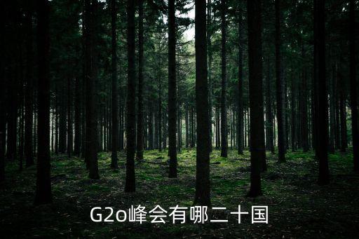 G2o峰會有哪二十國