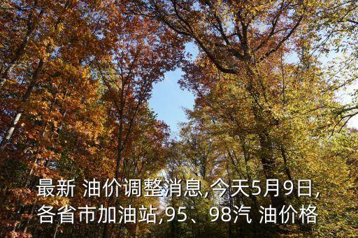 最新 油價(jià)調(diào)整消息,今天5月9日,各省市加油站,95、98汽 油價(jià)格