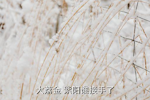 大荔金 紫陽(yáng)誰(shuí)接手了