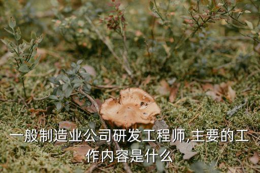 一般制造業(yè)公司研發(fā)工程師,主要的工作內(nèi)容是什么