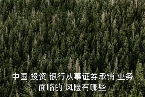 中國 投資 銀行從事證券承銷 業(yè)務(wù)面臨的 風(fēng)險(xiǎn)有哪些