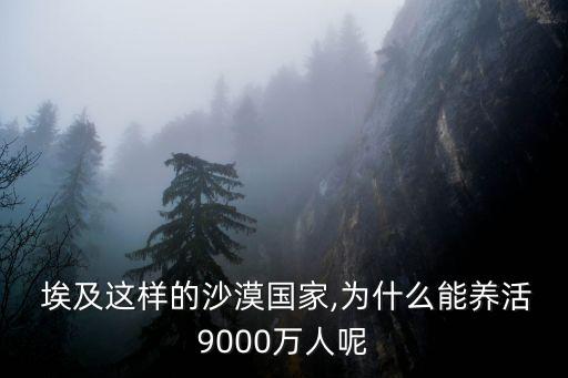 埃及中國貿(mào)易,2020中國與埃及的貿(mào)易關(guān)系