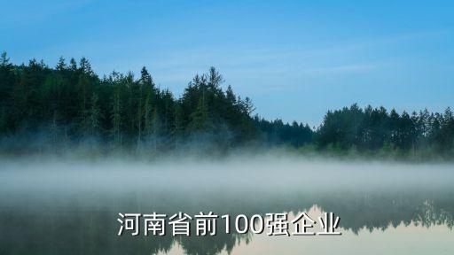  河南省前100強企業(yè)