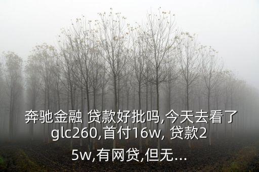  奔馳金融 貸款好批嗎,今天去看了glc260,首付16w, 貸款25w,有網(wǎng)貸,但無(wú)...