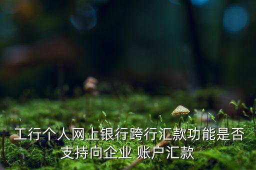  工行個人網(wǎng)上銀行跨行匯款功能是否支持向企業(yè) 賬戶匯款